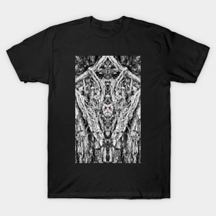 Pagan God of the Old T-Shirt